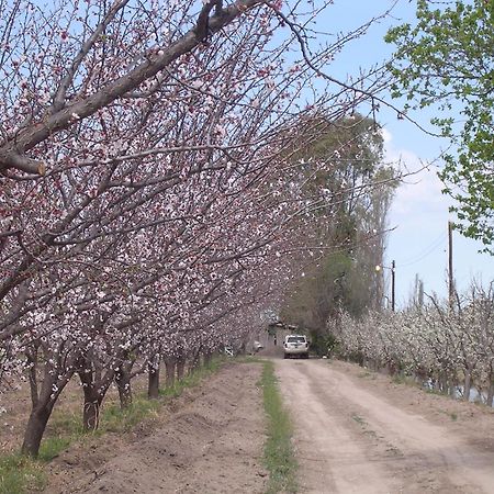 Finca La Celestita Colonia Alvear 外观 照片