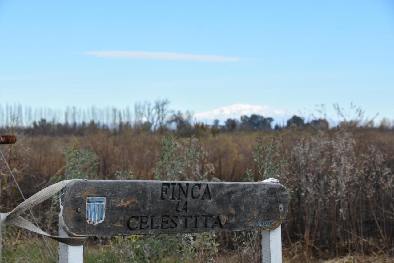 Finca La Celestita Colonia Alvear 外观 照片