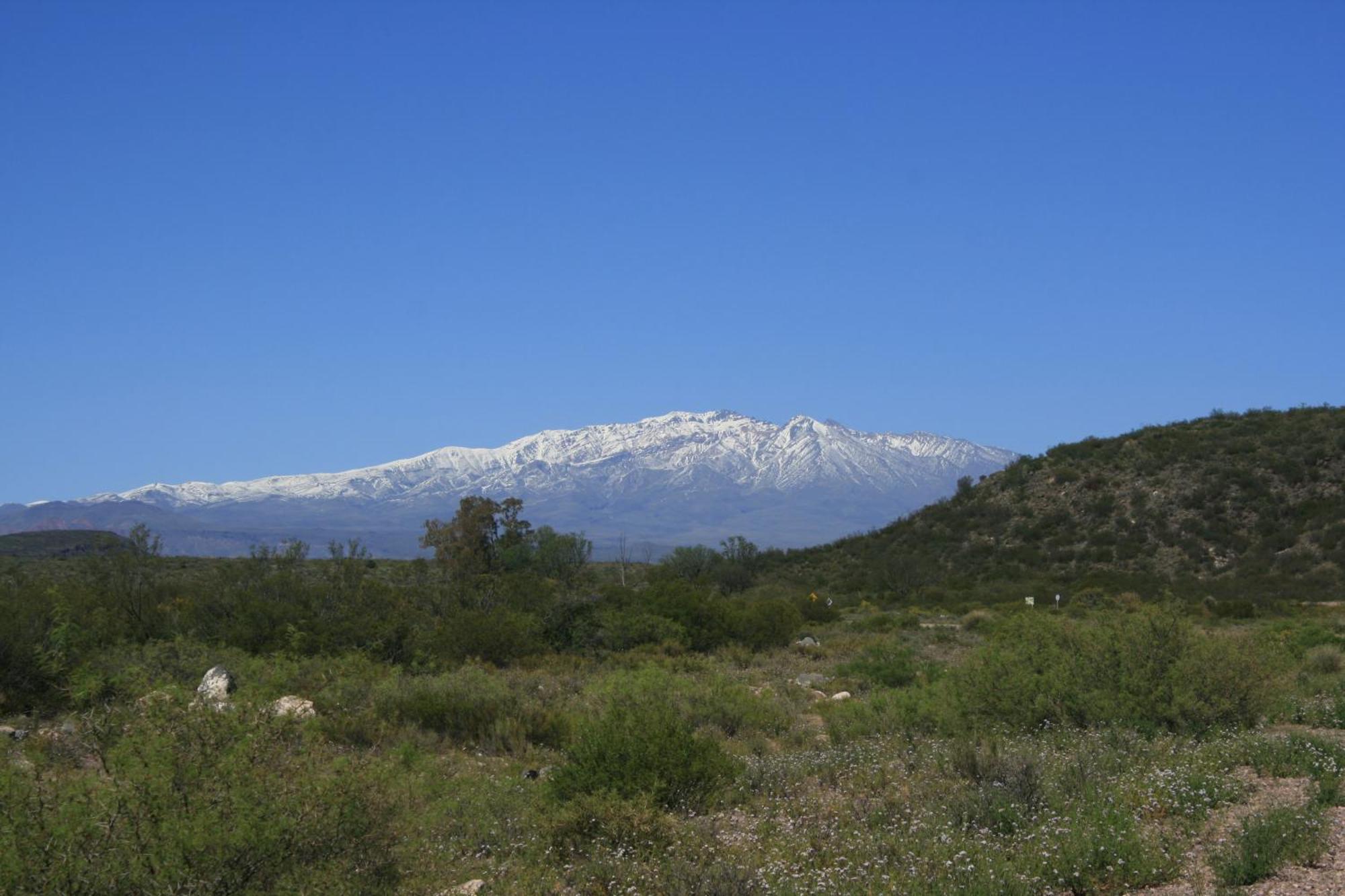 Finca La Celestita Colonia Alvear 外观 照片