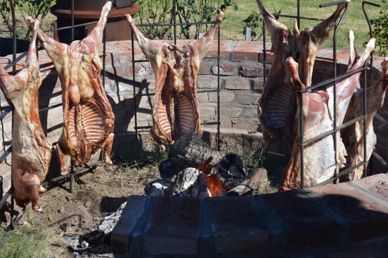 Finca La Celestita Colonia Alvear 外观 照片