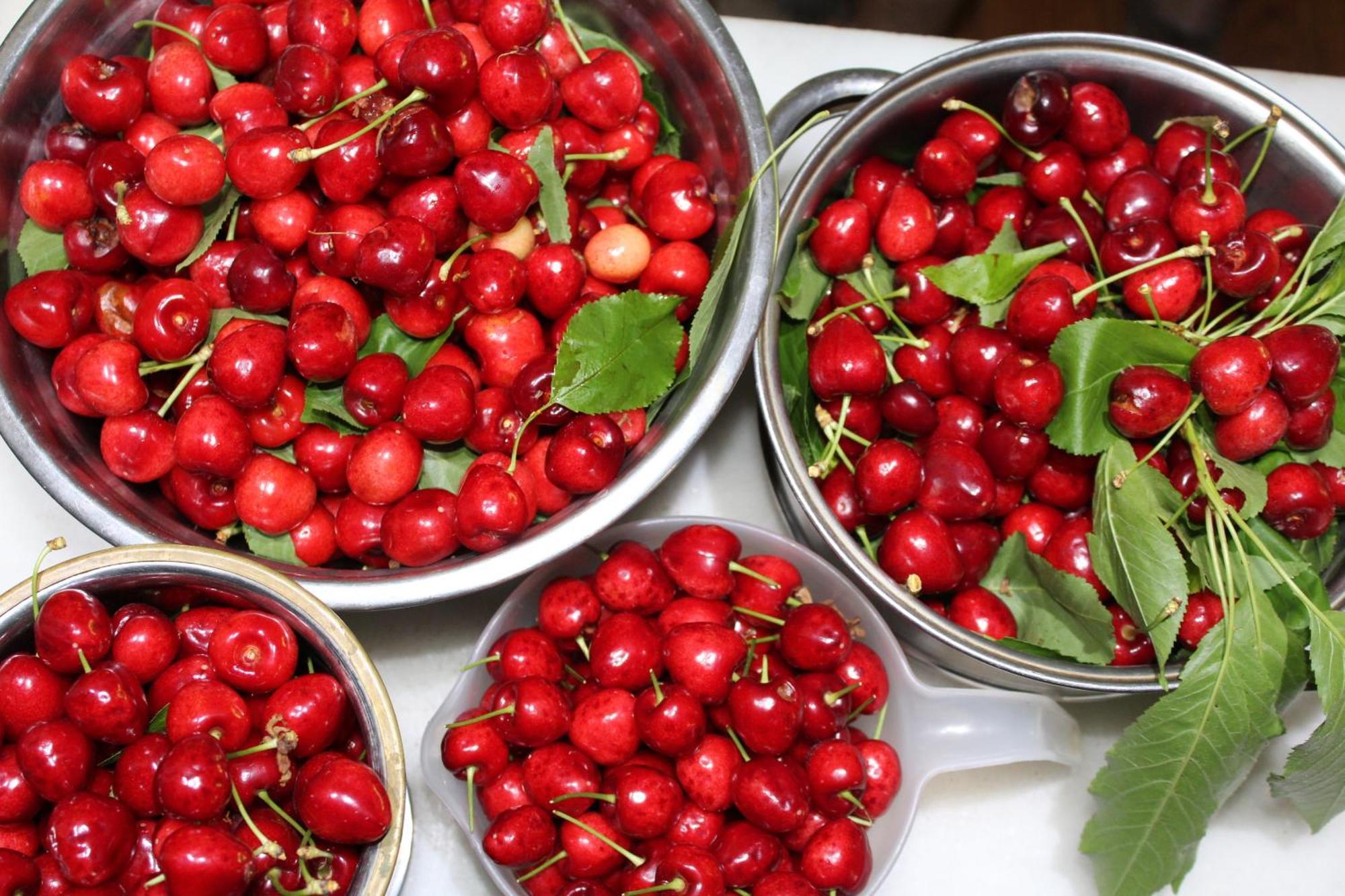 Finca La Celestita Colonia Alvear 外观 照片