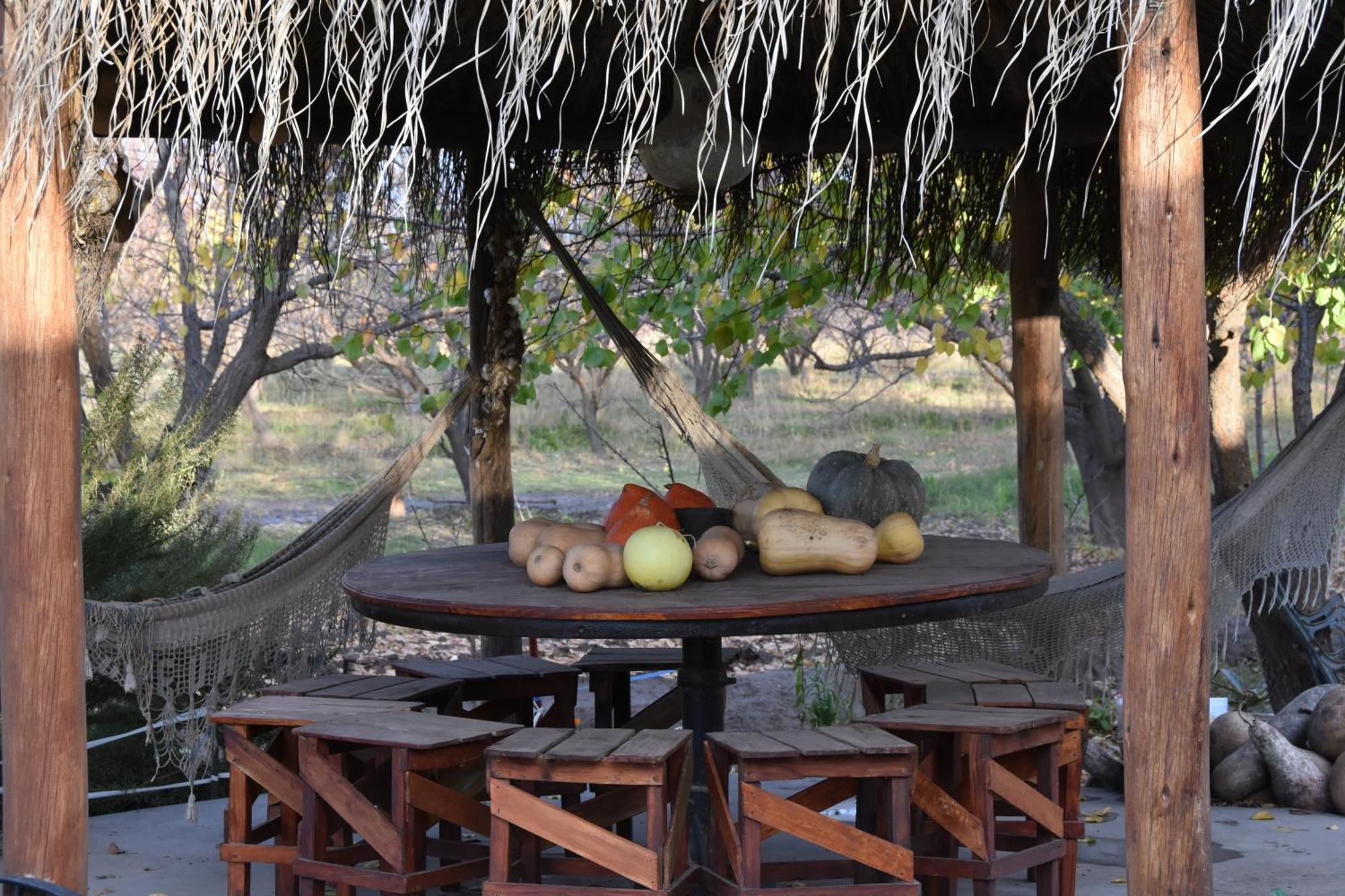 Finca La Celestita Colonia Alvear 外观 照片