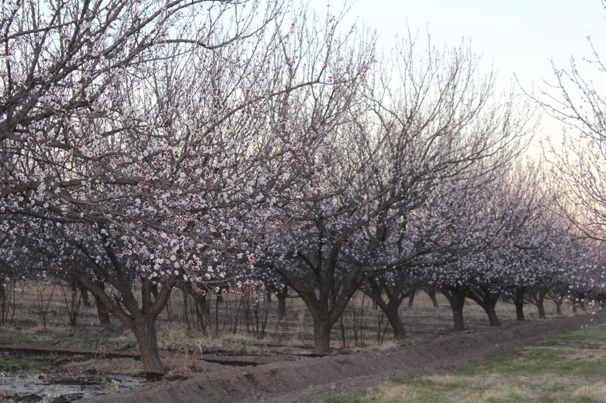 Finca La Celestita Colonia Alvear 外观 照片