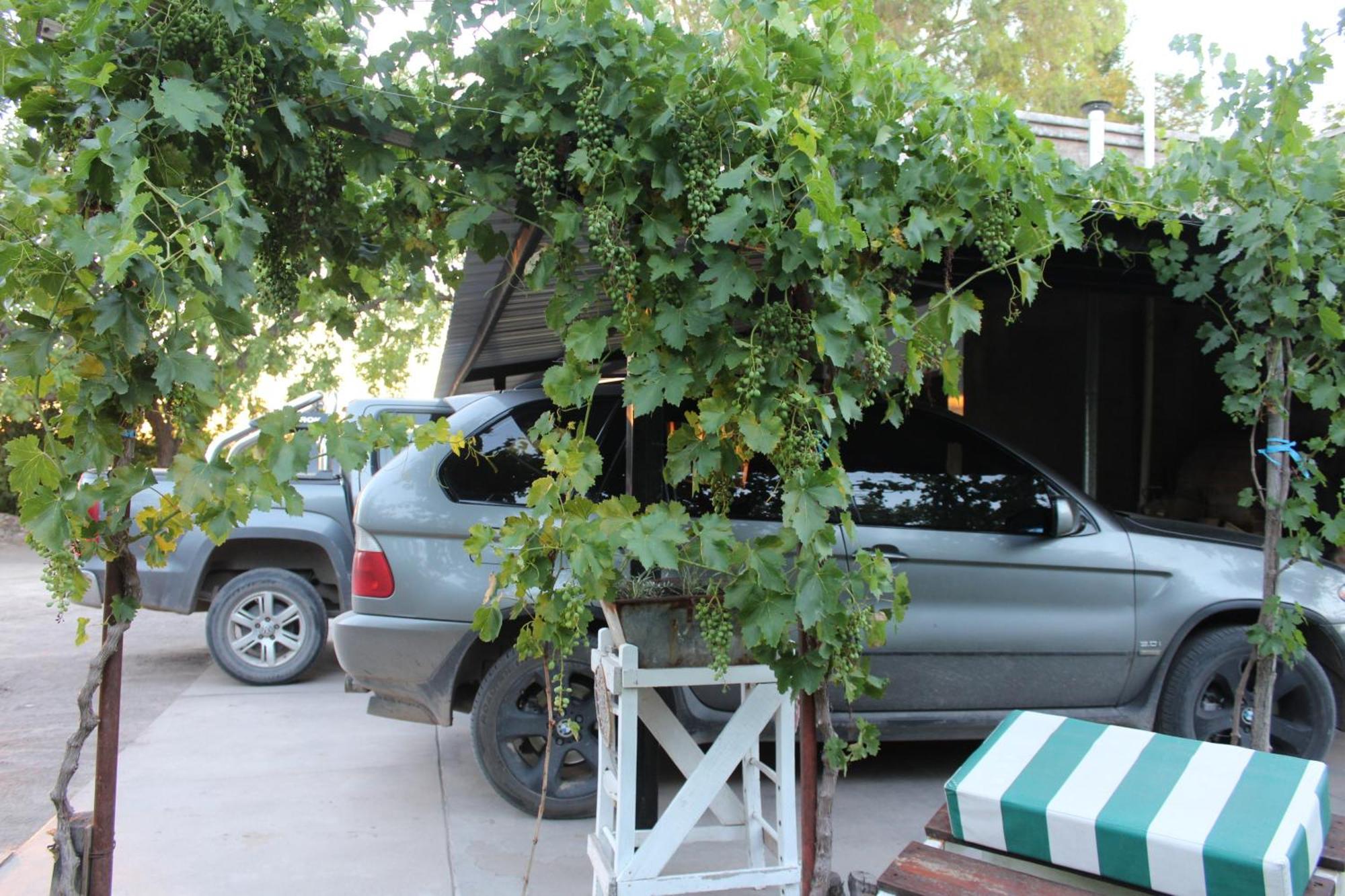 Finca La Celestita Colonia Alvear 外观 照片