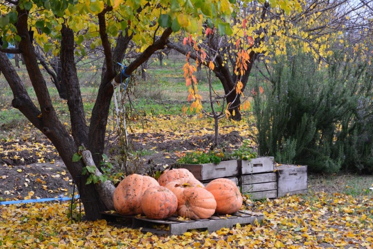 Finca La Celestita Colonia Alvear 外观 照片