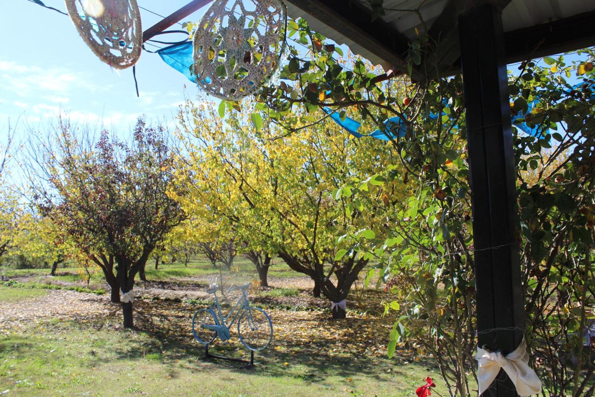 Finca La Celestita Colonia Alvear 外观 照片