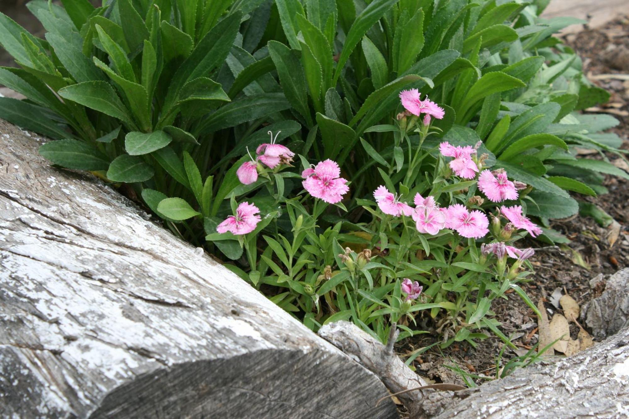 Finca La Celestita Colonia Alvear 外观 照片